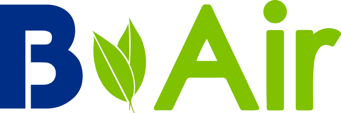 B-Air, logo